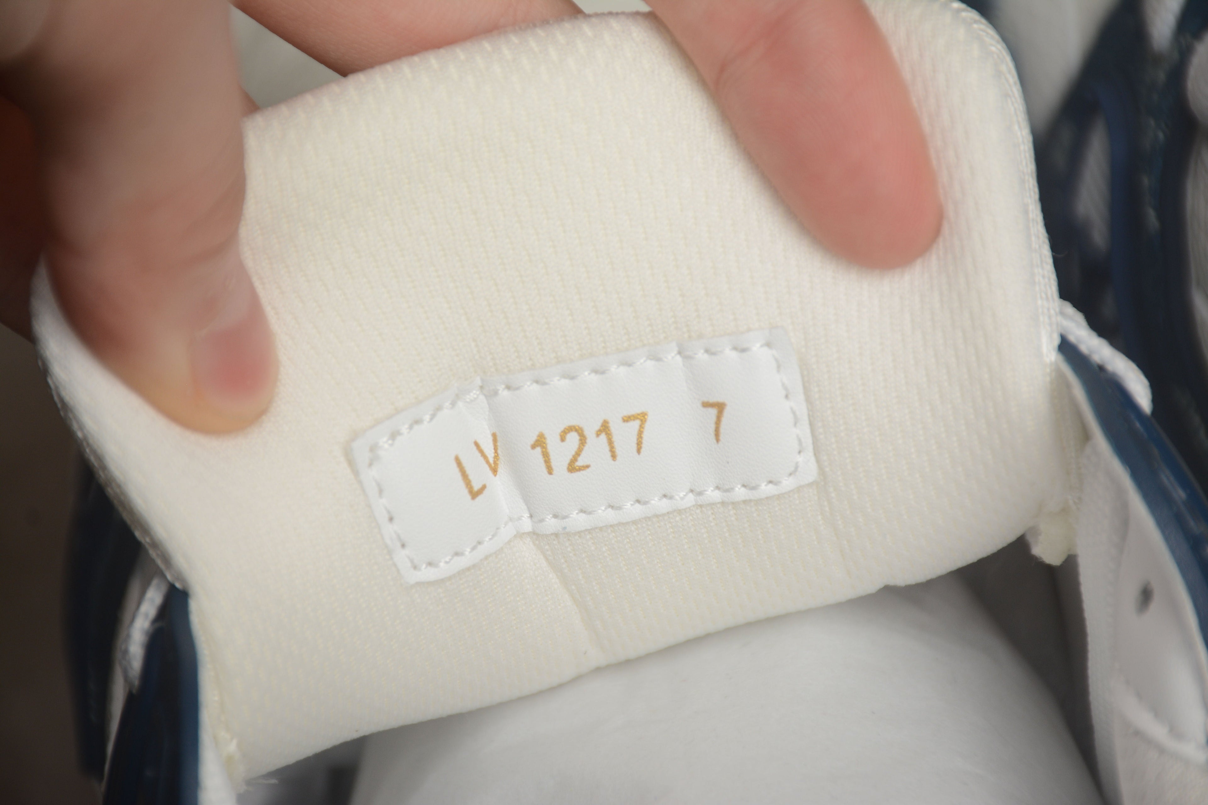 LV Trainer
